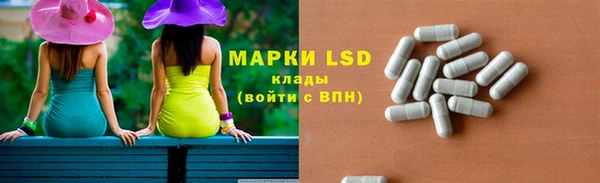 ECSTASY Алзамай