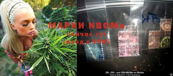 ECSTASY Алзамай