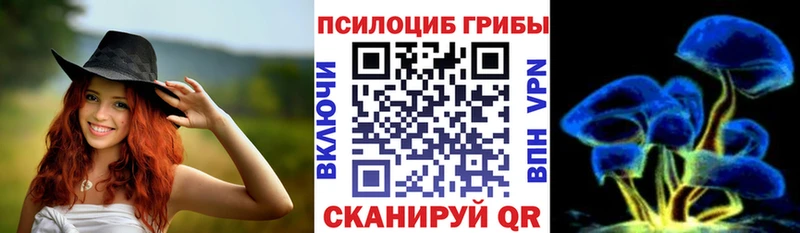 Галлюциногенные грибы Psilocybe  где продают   Бородино 